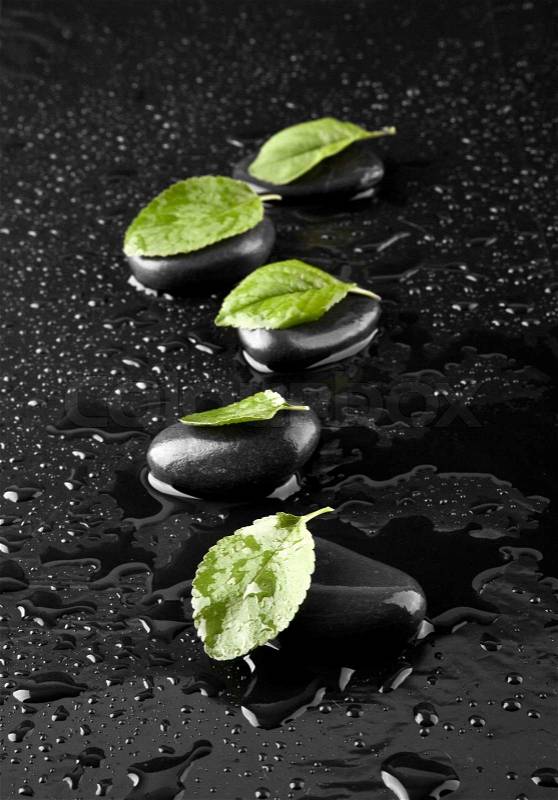 Stone and leaves in drops of water on a black background , stock photo
