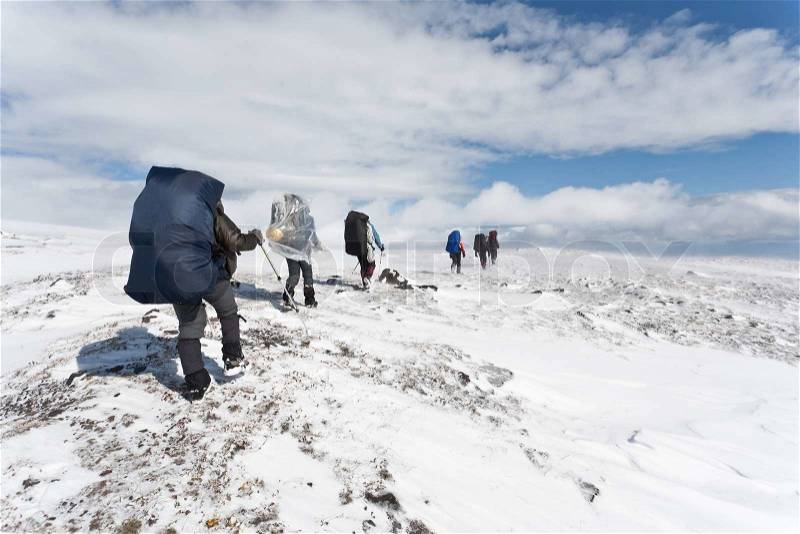 Group of hikers making there way at snowy Kamchatka region, Russia, stock photo
