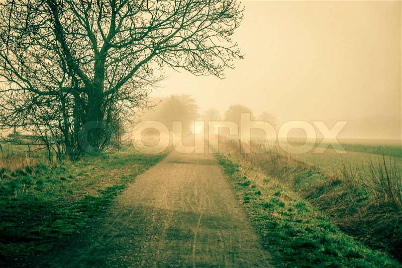 Sunrise at a countryside road in spring, stock photo