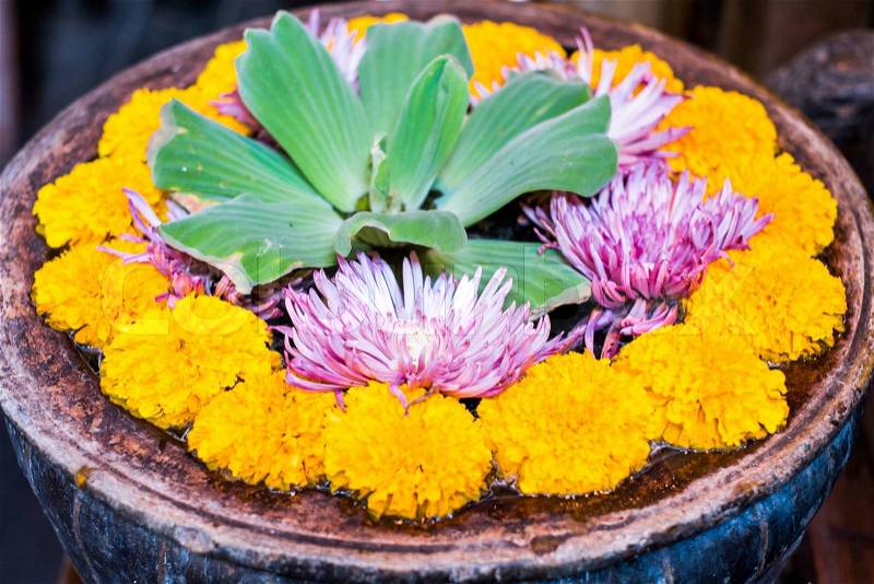 Floating flower on water in wooden bowl, stock photo