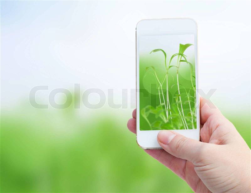 Woman hand taking picture with smart phone against spring green background, stock photo