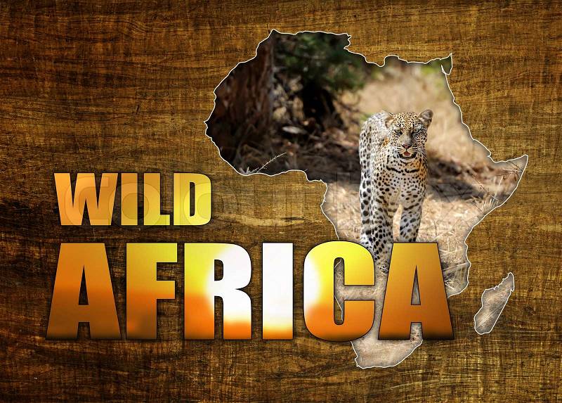 Africa Wildlife Map Design on papyrus, stock photo