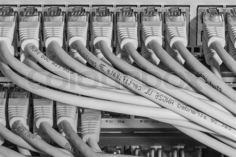Network cables connected to switch - closeup of data center hardware, stock photo