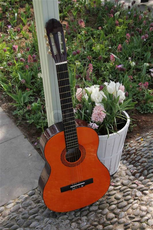 Standing guitar in a space outdoors with blooming flowers like hyacinths in a bed in the park in spring.