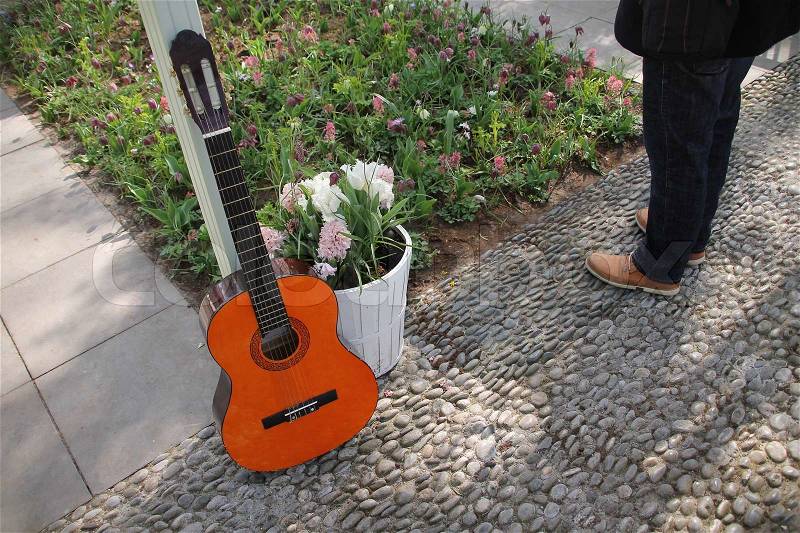Standing guitar and the musician stay in the space with blooming flowers outdoors in the park in spring, stock photo