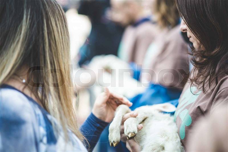 MILAN, ITALY - APRIL 13: Essere Animali protest on April, 13 2014: a group of activists of animal rights association 'Essere Animali' performed with real dead lambs in city center before easter, stock photo