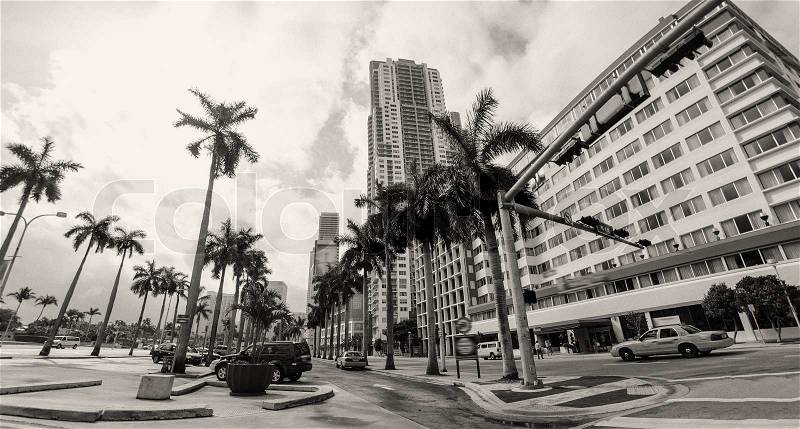 Upward street view of Miami Skyscrapers - Florida, stock photo