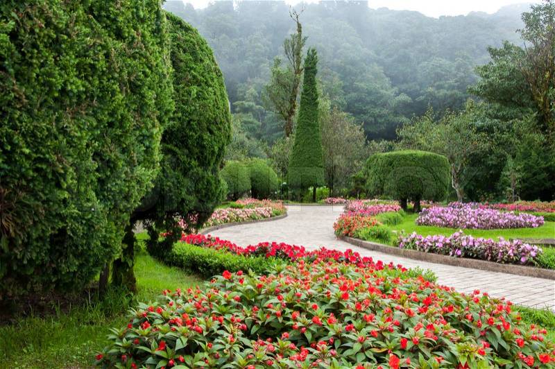 Flower garden and mist background from inthanon national park, stock photo