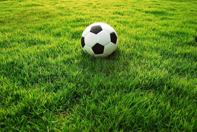 Football green grass ball stadiun football field game sport background for design, stock photo