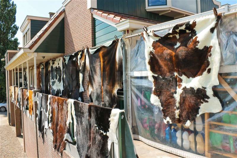 Tanned hides on the balcony of the leather shop in Volendam. Netherlands , stock photo