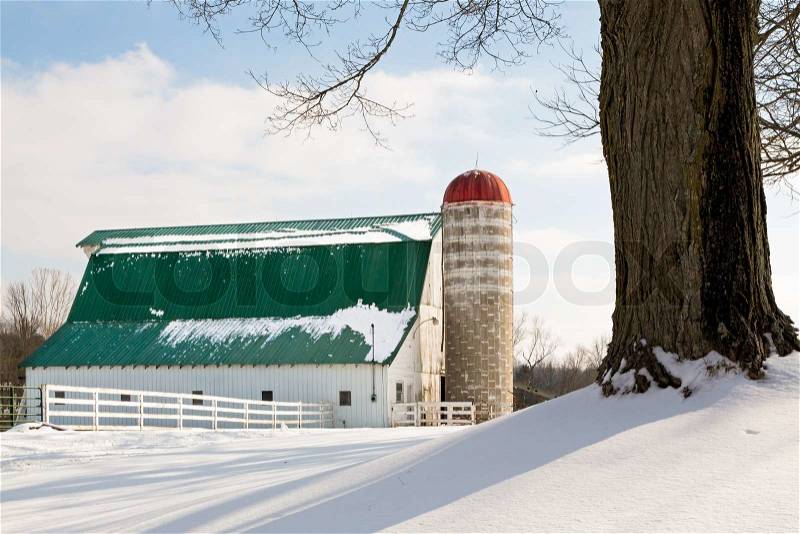 A white barn and silo with green and red roofs are surrounded by a snowy landscape, stock photo