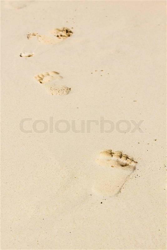 The foot prints on a sandy beach. , stock photo