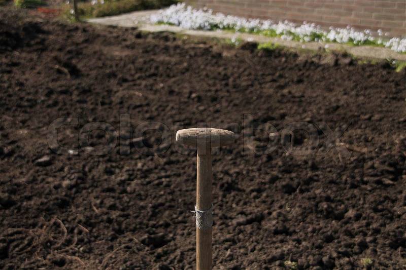 Detail, working in the garden and the spade in the ground in the garden in spring, much work to do, stock photo
