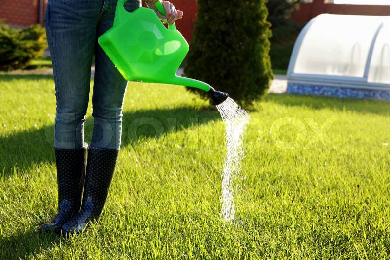 Woman (only legs) watering lawn with water pot, stock photo