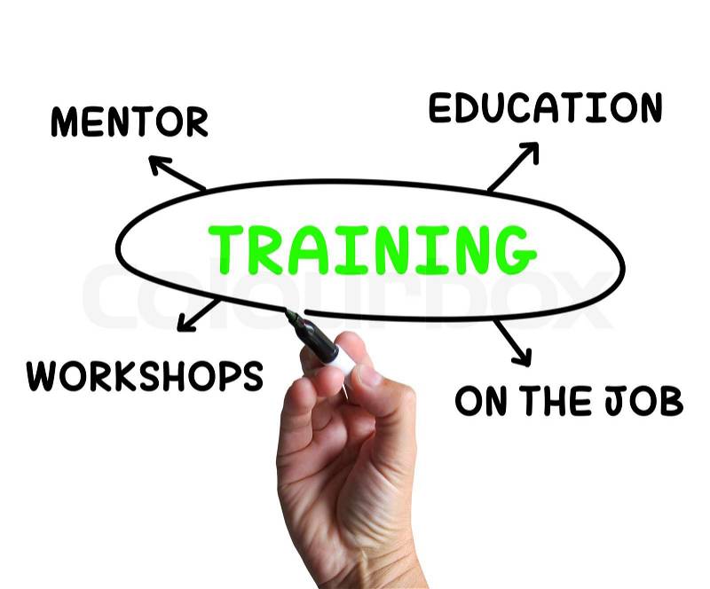 Training Diagram Showing Mentorship Education And Job Preparation, stock photo