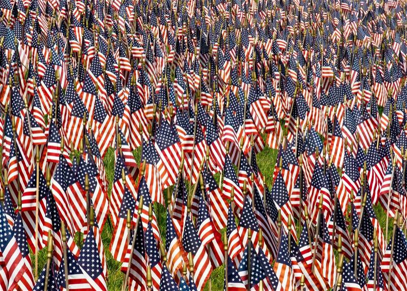 Field of USA Flags, stock photo