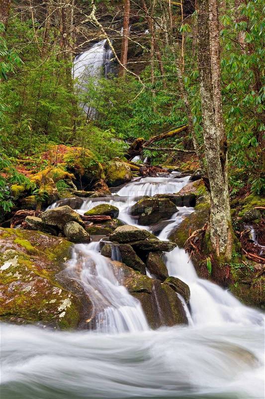 One cascading mountain stream flows into another in Great Smoky Mountains National Park, Tennessee, USA, stock photo