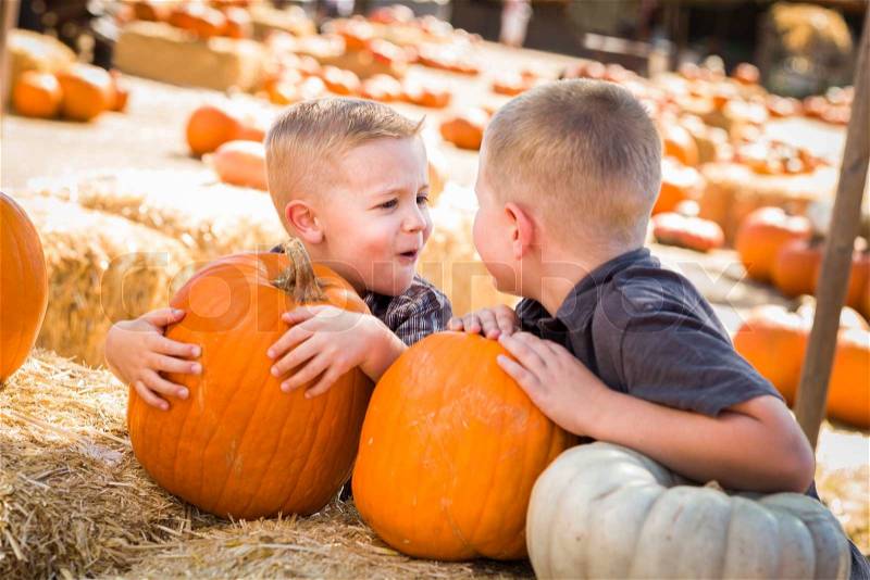 Two Boys at the Pumpkin Patch Talking About Their Pumpkins and Having Fun on a Fall Day. , stock photo