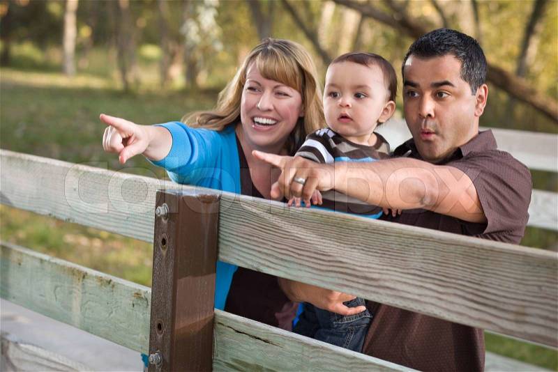 Happy Mixed Race Ethnic Family Having Fun Playing In The Park, stock photo