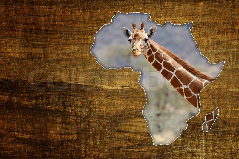 Vintage Africa Wildlife Map Design on papyrus with giraffe, stock photo