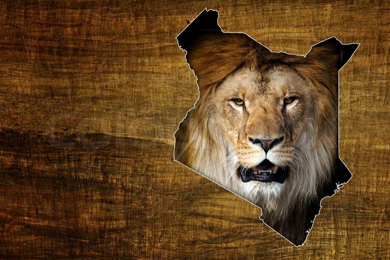 Vintage Kenya Wildlife Map Design on papyrus with lion, stock photo