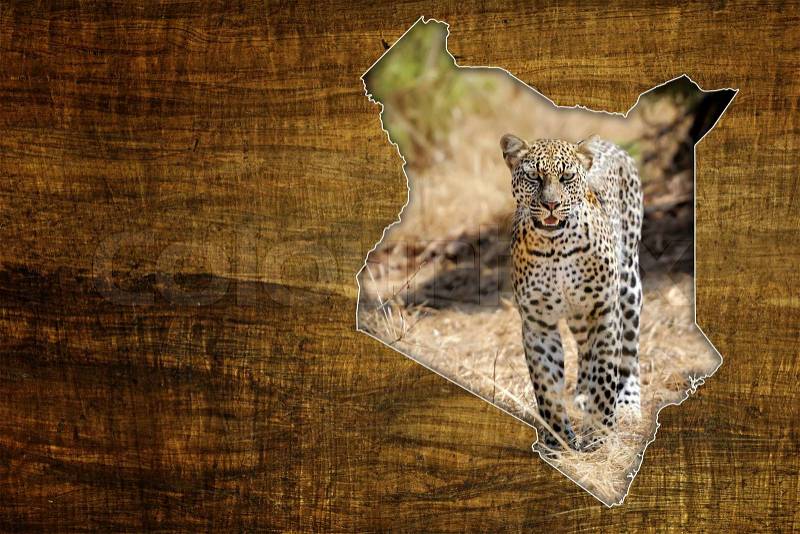 Vintage Kenya Wildlife Map Design on papyrus with leopard, stock photo