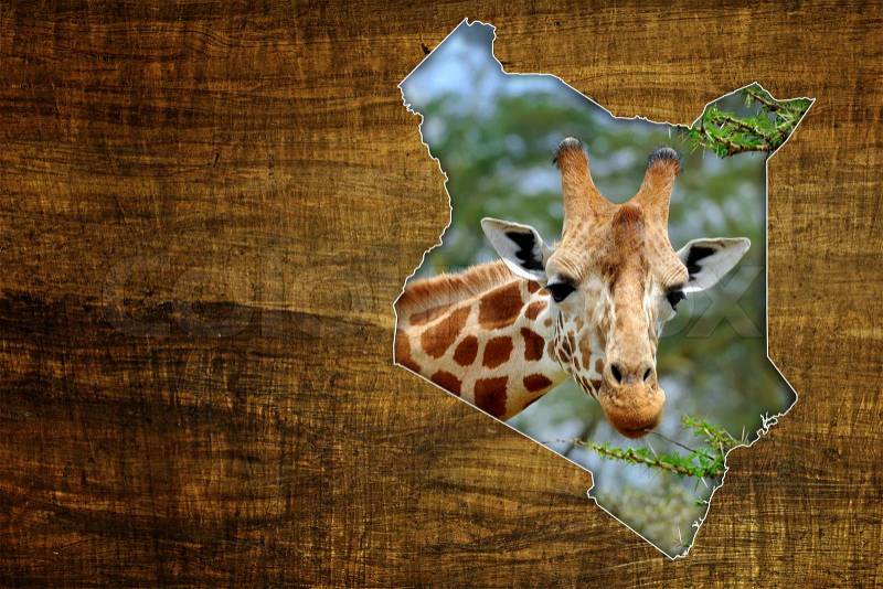 Vintage Kenya Wildlife Map Design on papyrus with giraffe, stock photo