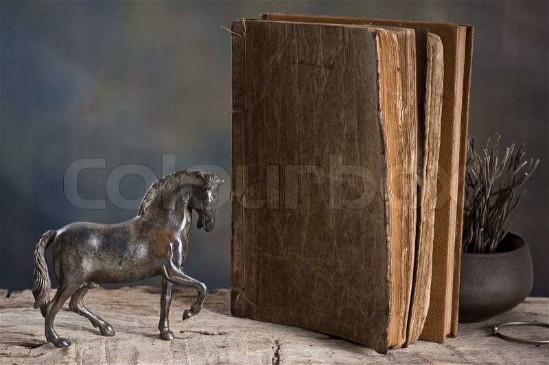 Still life photography, metal horse model with old reference book, stock photo