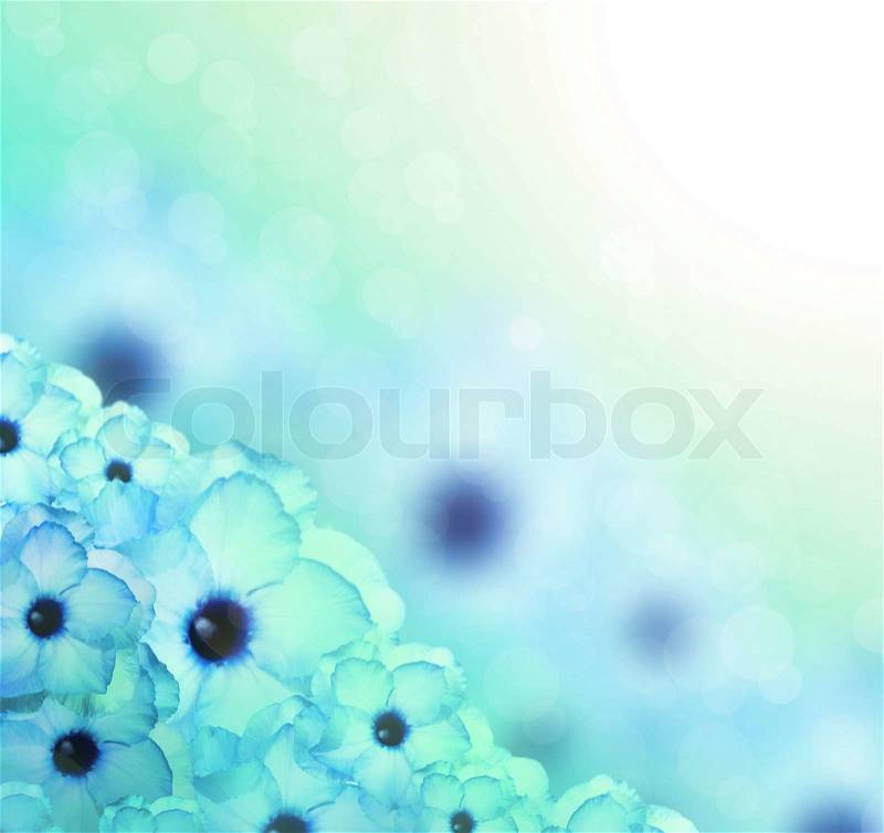Flower background. Sky blue azalea flowers to create a beautiful, stock photo