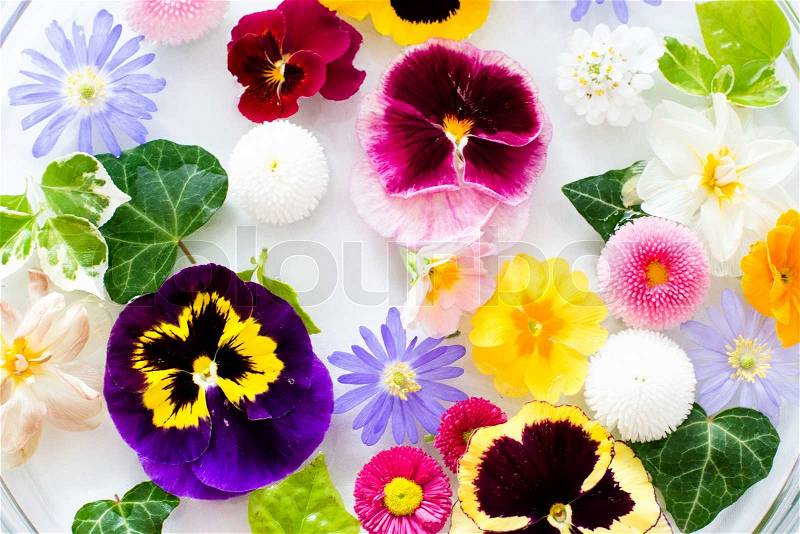 Recently picked fresh mixed flowers floating in a water jar against bright background, stock photo